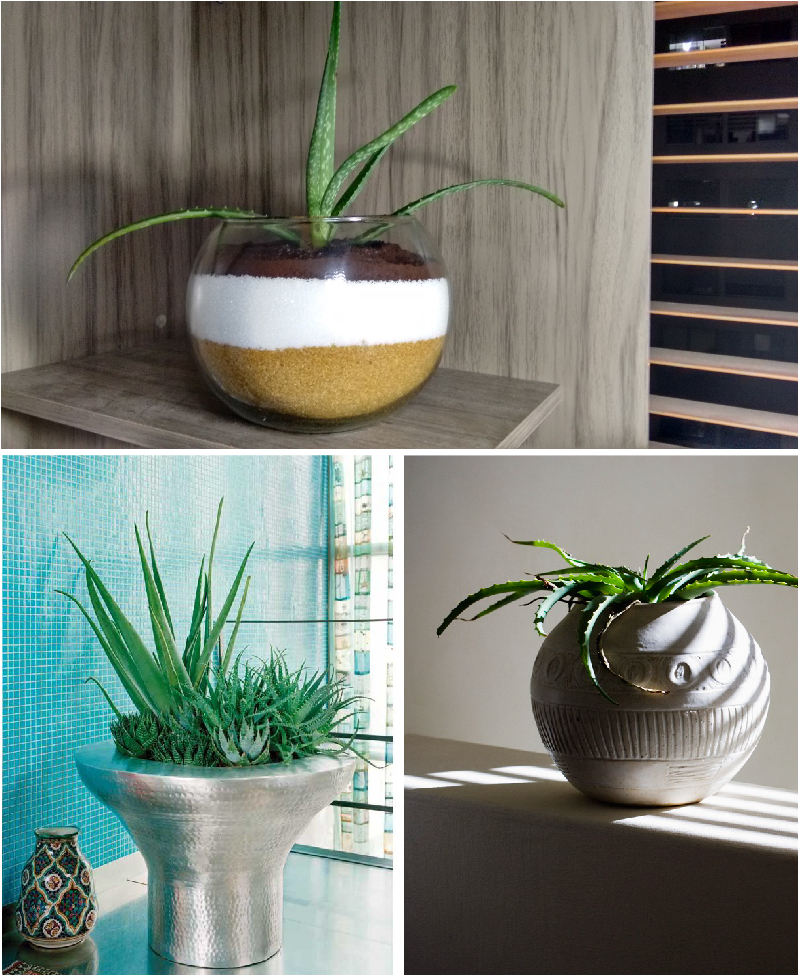 ondomus-decoracion-plantas-oton%cc%83o-interior-exterior-sotogrande-costa-10
